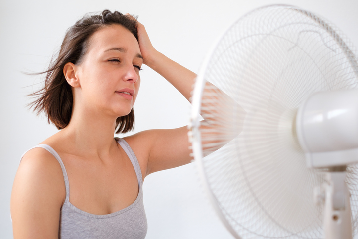 ASK COOL CAT: WHY DOES MY HOME FEEL MUGGY INSIDE? - Carolina Cool